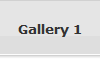 Gallery 1