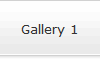 Gallery 1