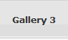 Gallery 3