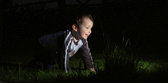 NetObjects Web Design Placeholder